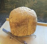 BLOEM VAN DE MAAND ’’DECEMBER’’ 2.5 KG_