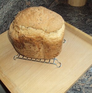 BLOEM VAN DE MAAND ’’JUNI’’ 2.5 KG