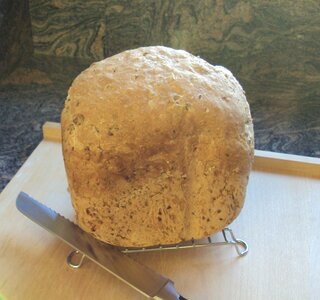 BLOEM VAN DE MAAND ’’DECEMBER’’ 2.5 KG